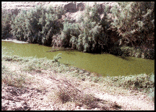 green drainage canal