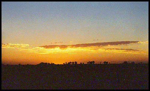 sunset in the Yaqui Valley