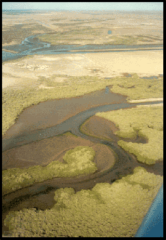 aerial view of estuary